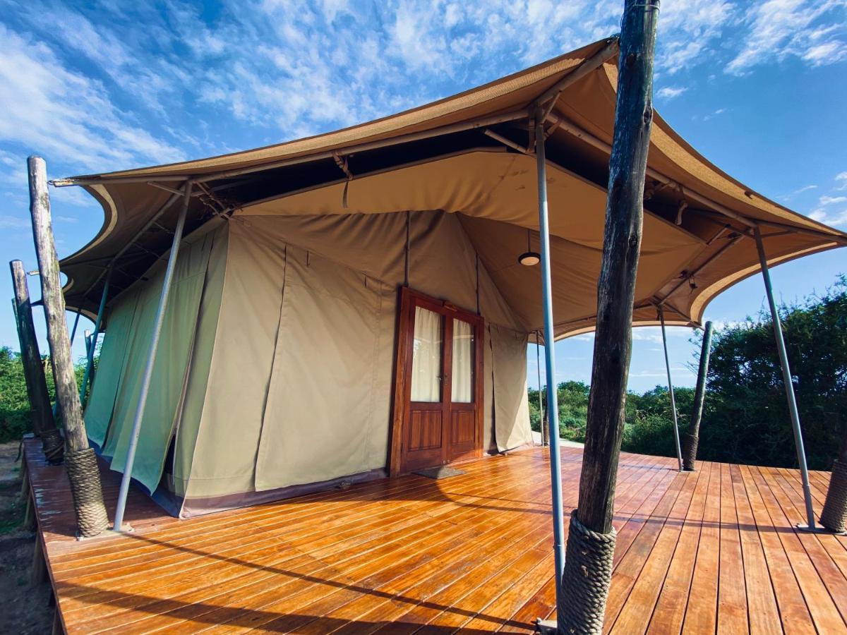 Parkview Safari Lodge Колчестер Экстерьер фото