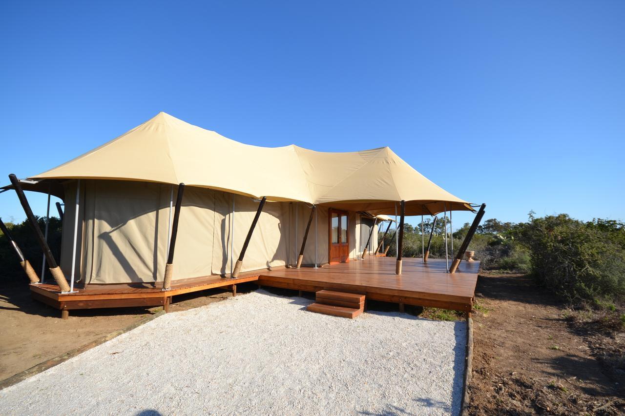 Parkview Safari Lodge Колчестер Экстерьер фото