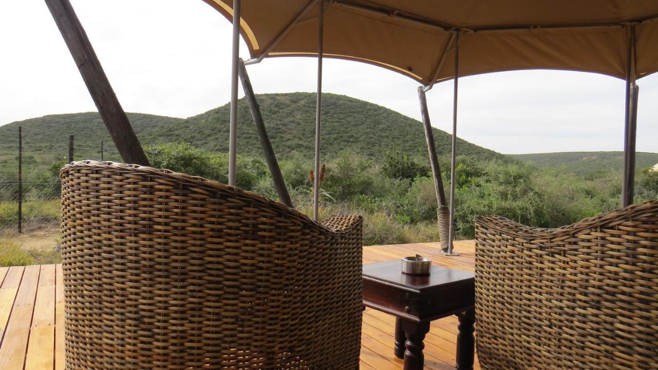 Parkview Safari Lodge Колчестер Экстерьер фото